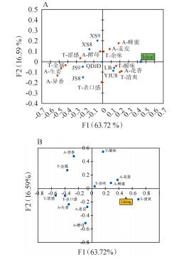 微信圖片_2026-04-08_085248_336